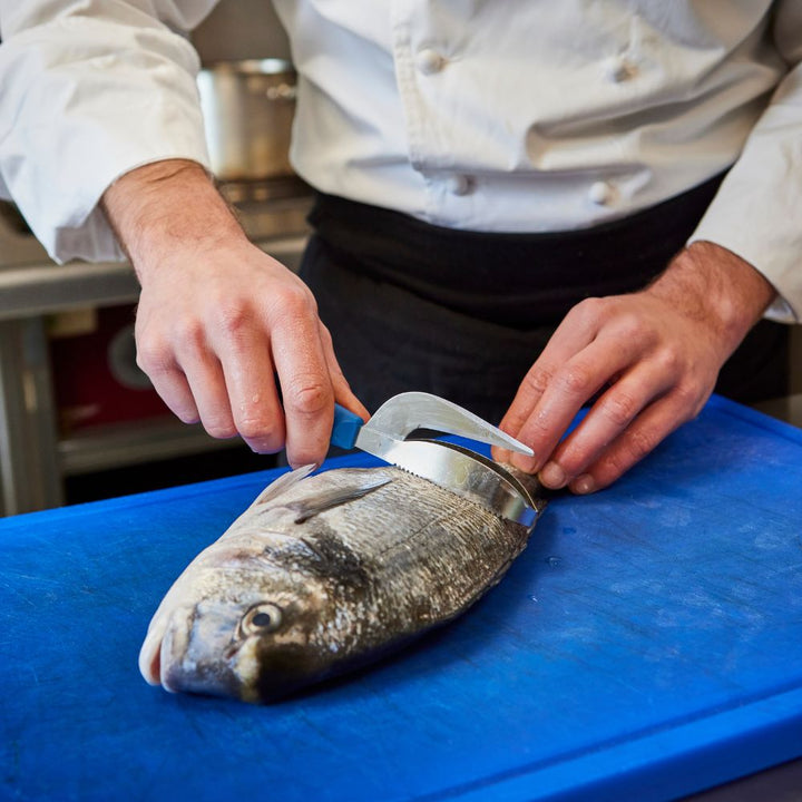 Écailleur à poisson - Triple action | Classic Polypro