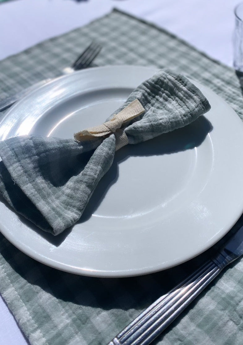 X2 Vichy Green Grey Placemat
