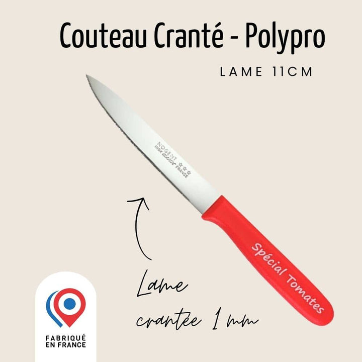 Couteau Spécial Tomate – Lame 11cm Crantée 1mm | Classic Polypro Rouge