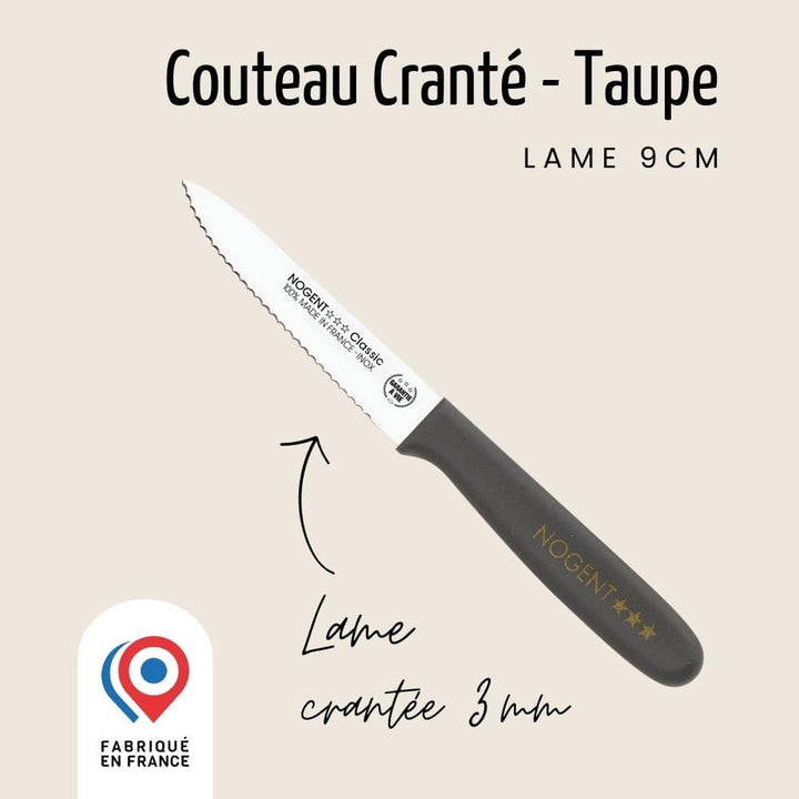 Couteau d’Office – Lame 9 cm Crantée 3 mm | Classic Polypro