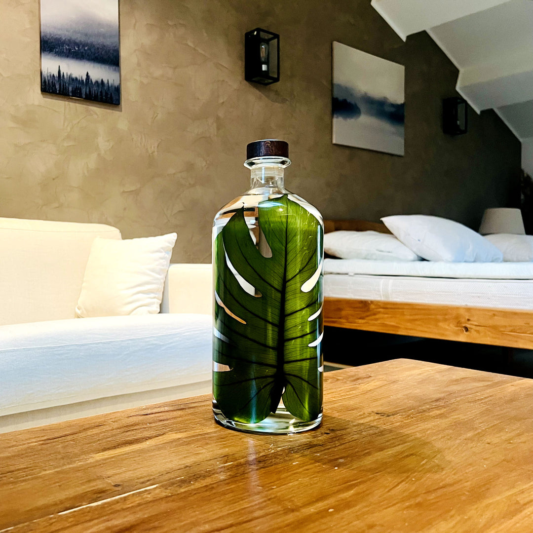 L'Herbarium de Théophile – Format XL Monstera 3 Litres - Plante immergée