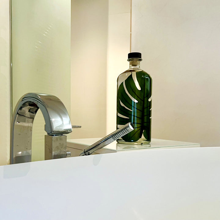 L'Herbarium de Théophile – Format XL Monstera 3 Litres - Plante immergée Plantes immergées Théophile Berthon