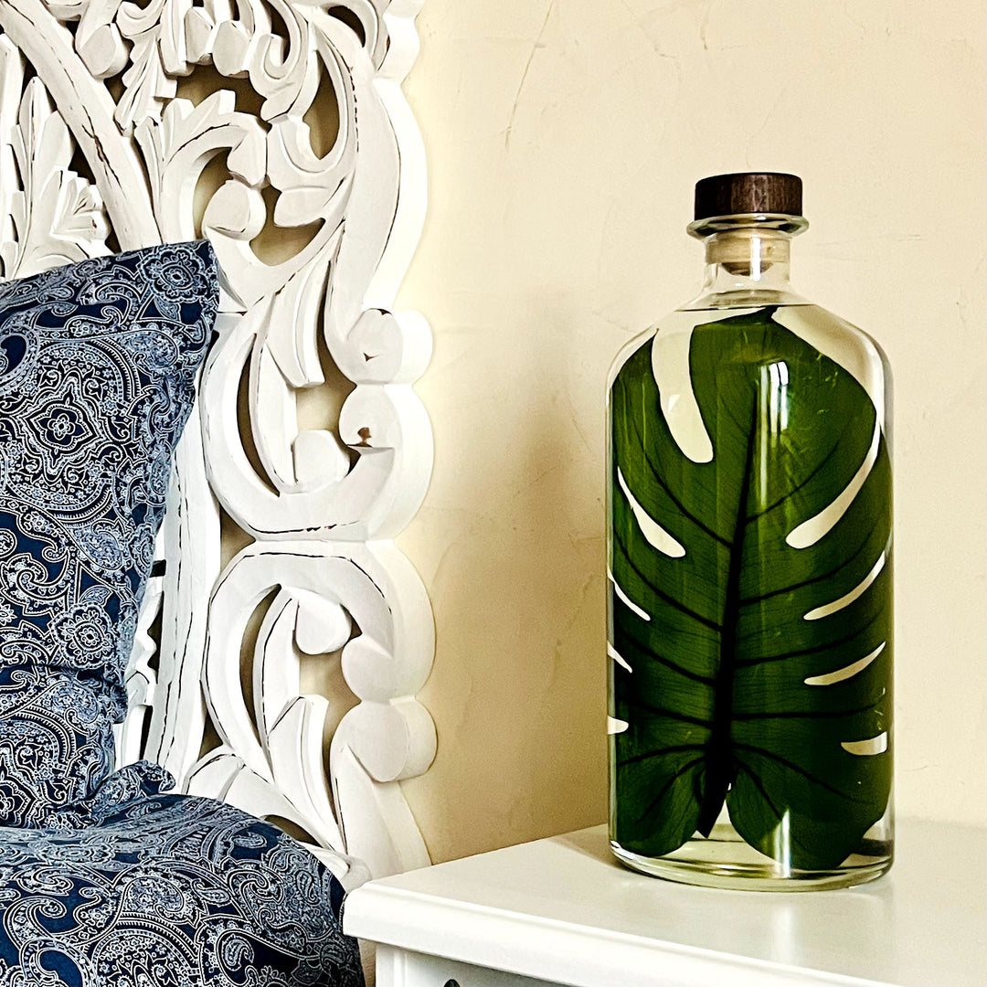 L'Herbarium de Théophile – Format XL Monstera 3 Litres - Plante immergée