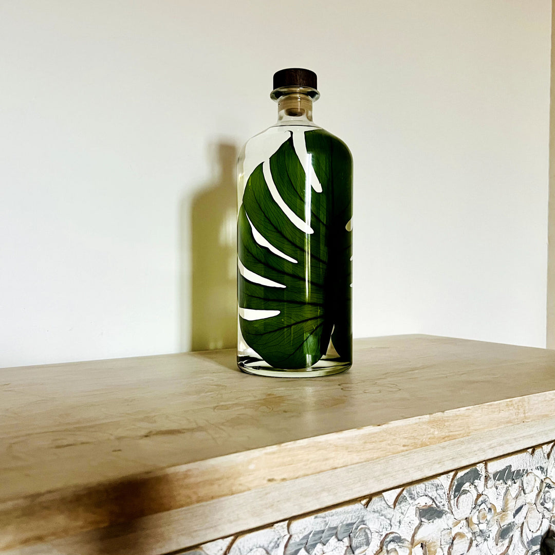 L'Herbarium de Théophile – Format XL Monstera 3 Litres - Plante immergée