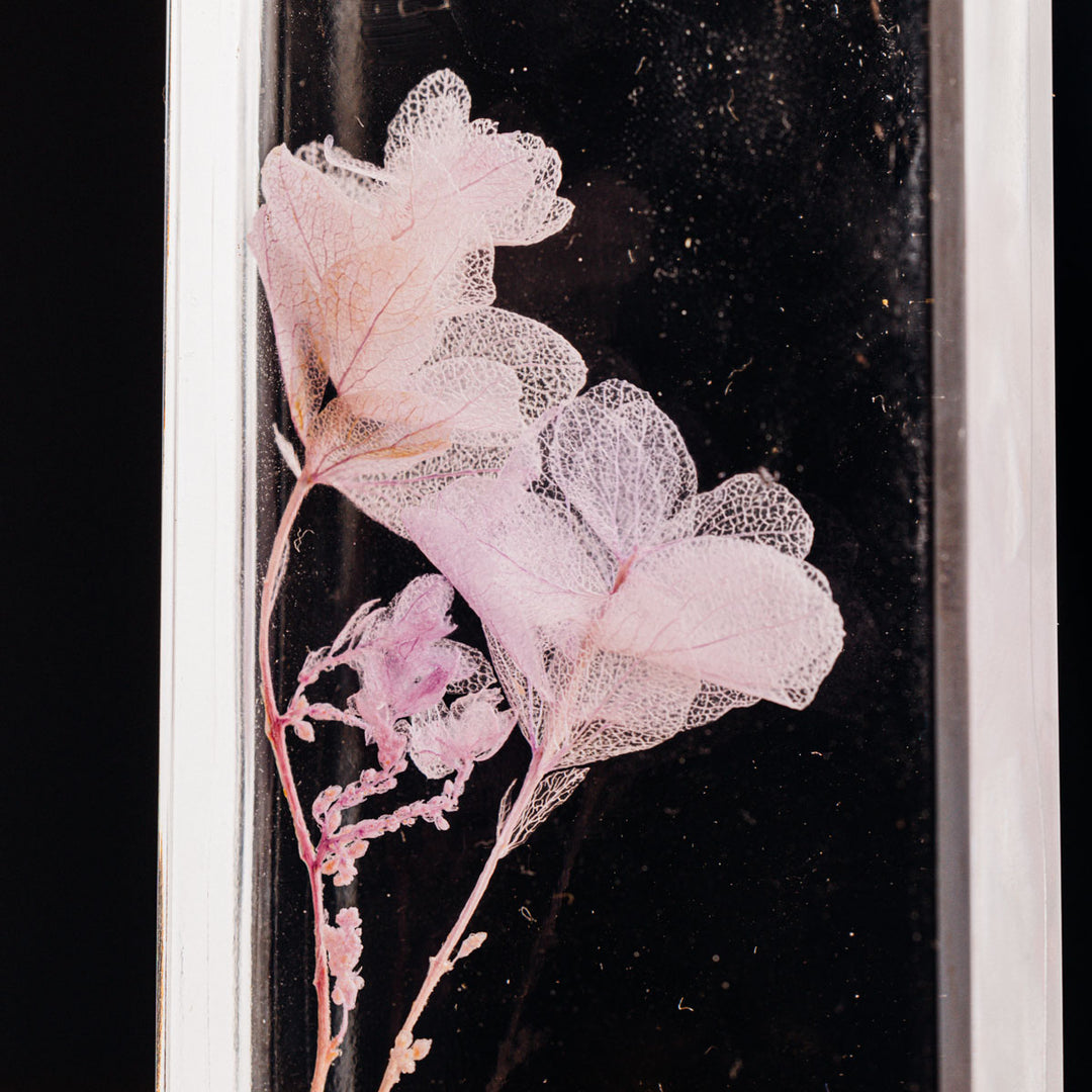 L'Herbarium de Théophile – Hortensia Feuille de chêne Lilas – Fleur immergée Plantes immergées Théophile Berthon