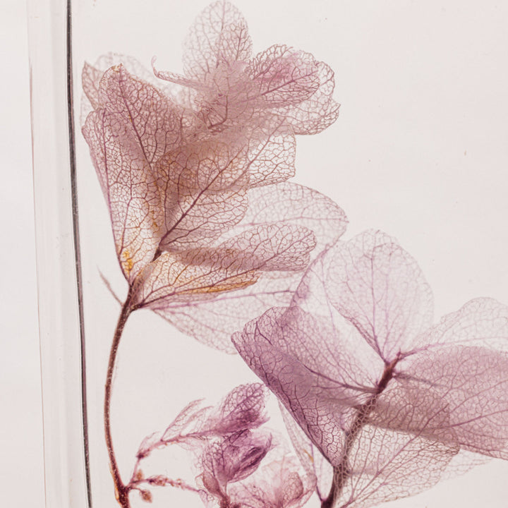 L'Herbarium de Théophile – Hortensia Feuille de chêne Lilas – Fleur immergée Plantes immergées Théophile Berthon