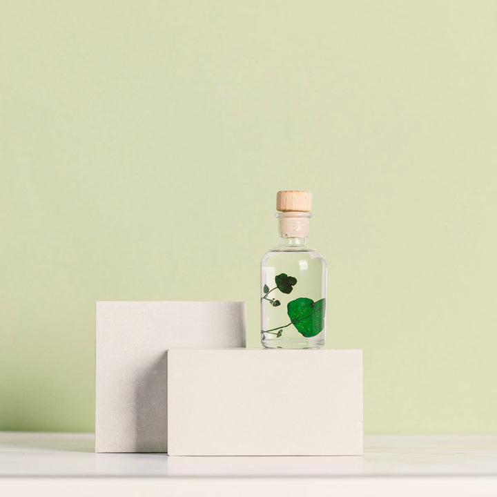 L'Herbarium de Théophile – Lierre Hélix – Plante immergée Plantes immergées Théophile Berthon