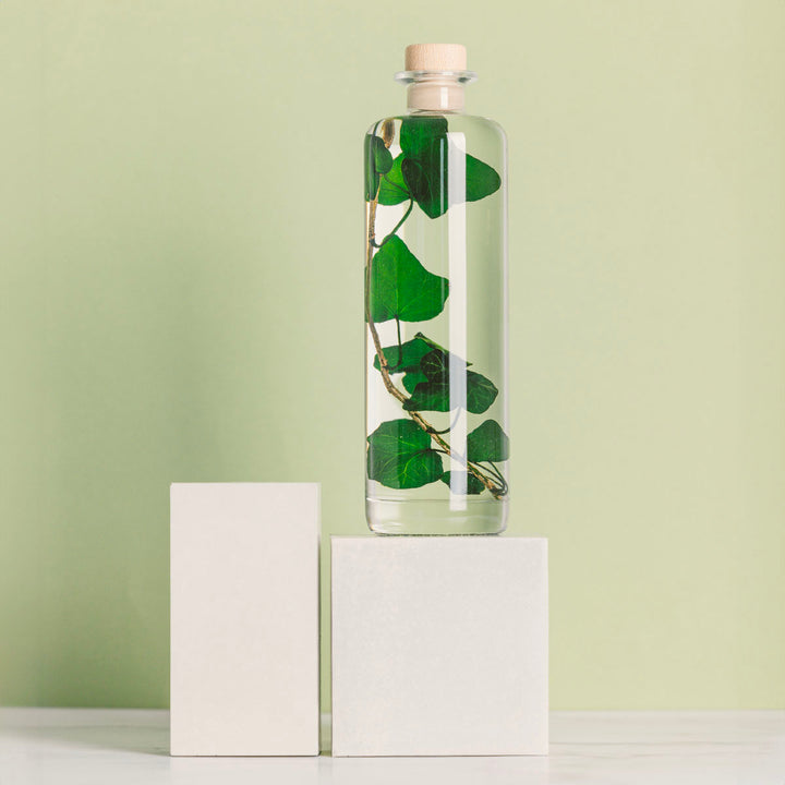 L'Herbarium de Théophile – Lierre Hélix – Plante immergée Plantes immergées Théophile Berthon