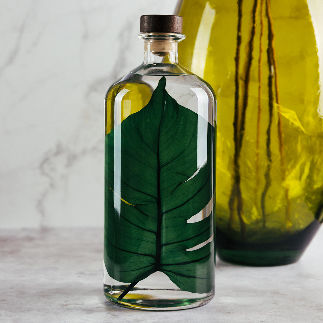 L'Herbarium de Théophile – Format XL Monstera 3 Litres - Plante immergée Plantes immergées Théophile Berthon