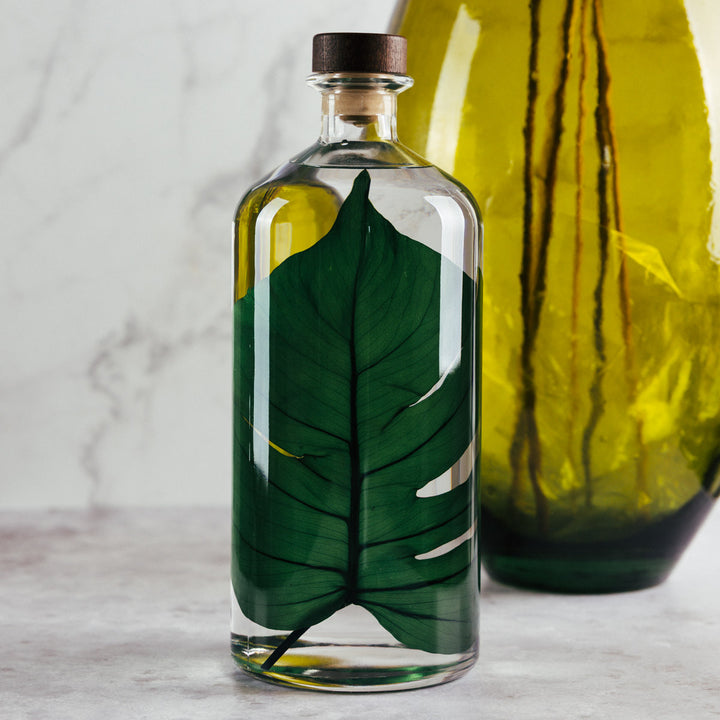 L'Herbarium de Théophile – Format XL Monstera 3 Litres - Plante immergée Plantes immergées Théophile Berthon