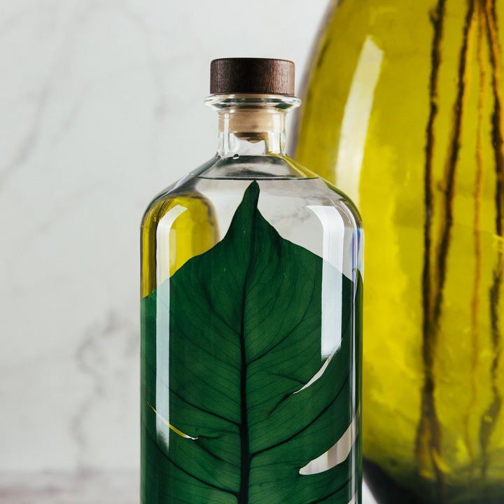 L'Herbarium de Théophile – Format XL Monstera 3 Litres - Plante immergée Plantes immergées Théophile Berthon