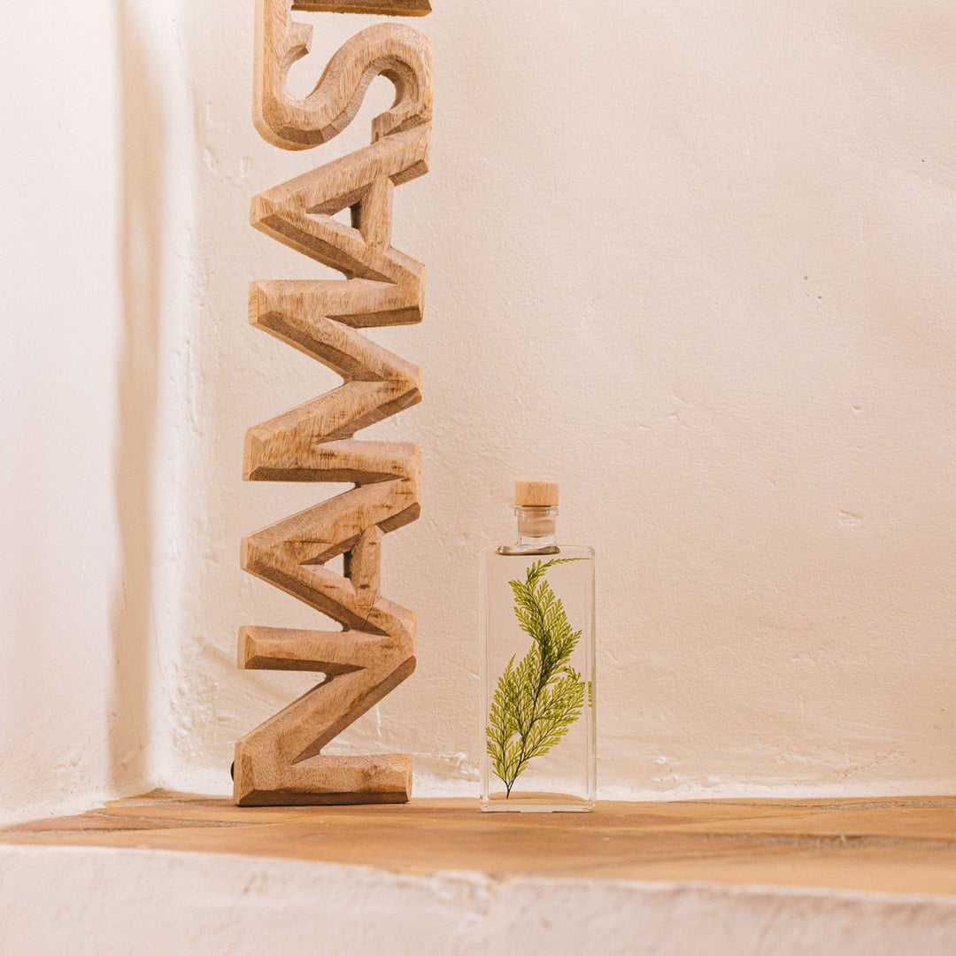 L'Herbarium de Théophile – Fougère Tabalia verte – Plante immergée