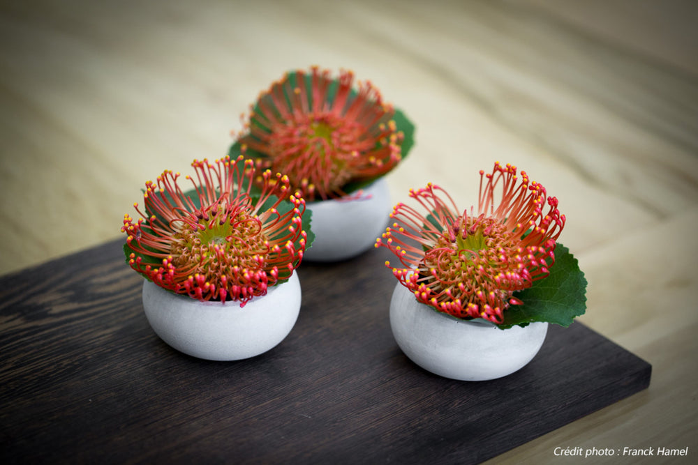 Photophores en béton x3 - Brut Photophores Gone's