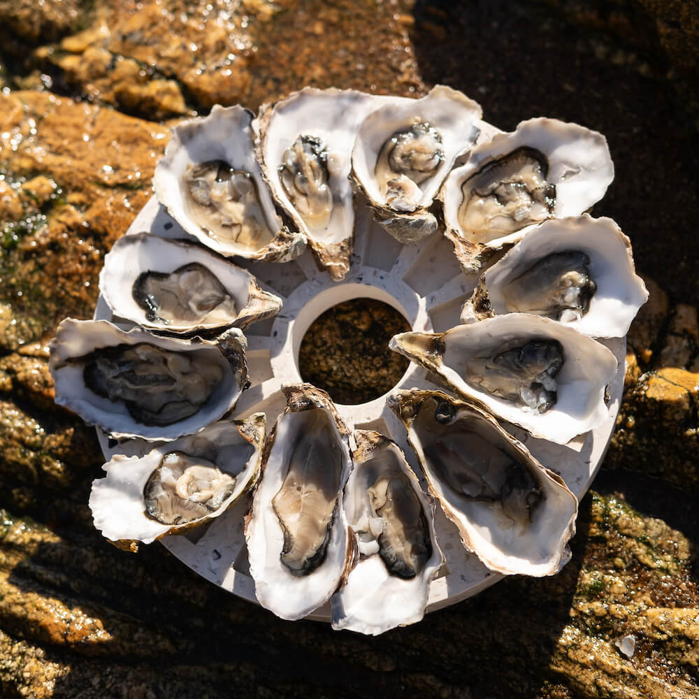 Plateau à huîtres Hélios La Douzaine blanc Plateaux à huitres Malakio
