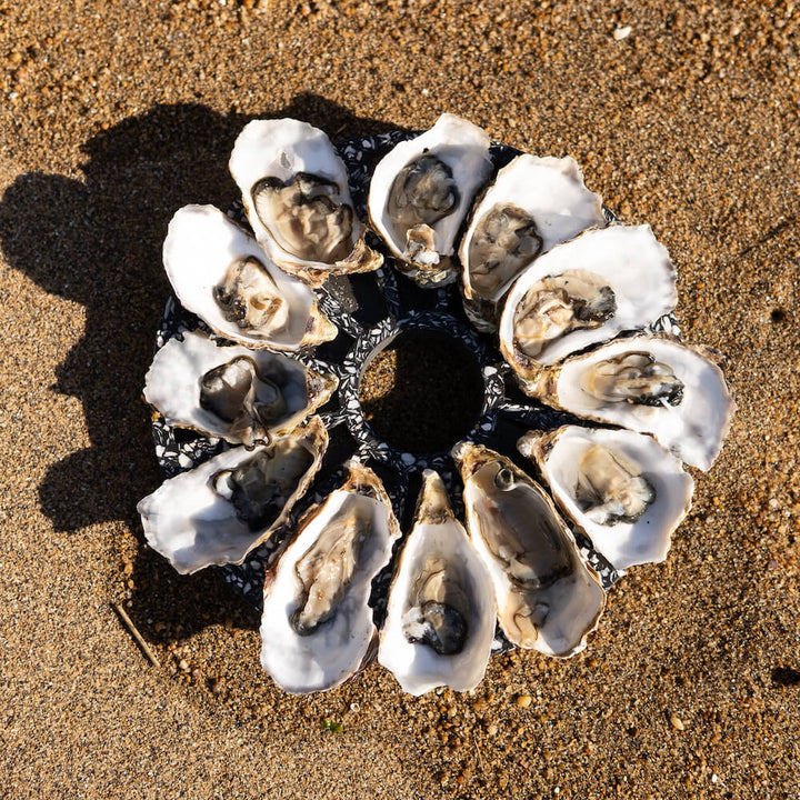 Plateau à huîtres Hélios La Douzaine noir Plateaux à huitres Malakio