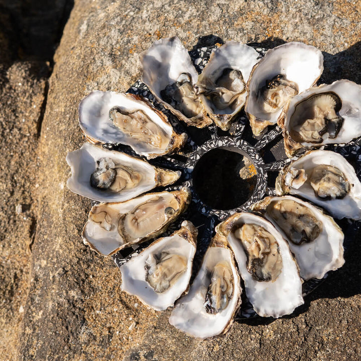 Plateau à huîtres Hélios La Douzaine noir Plateaux à huitres Malakio