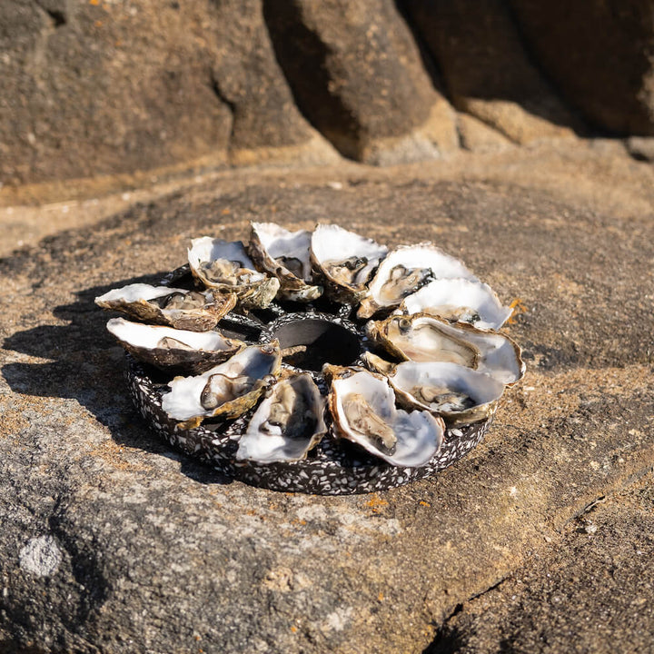 Plateau à huîtres Hélios La Douzaine noir Plateaux à huitres Malakio