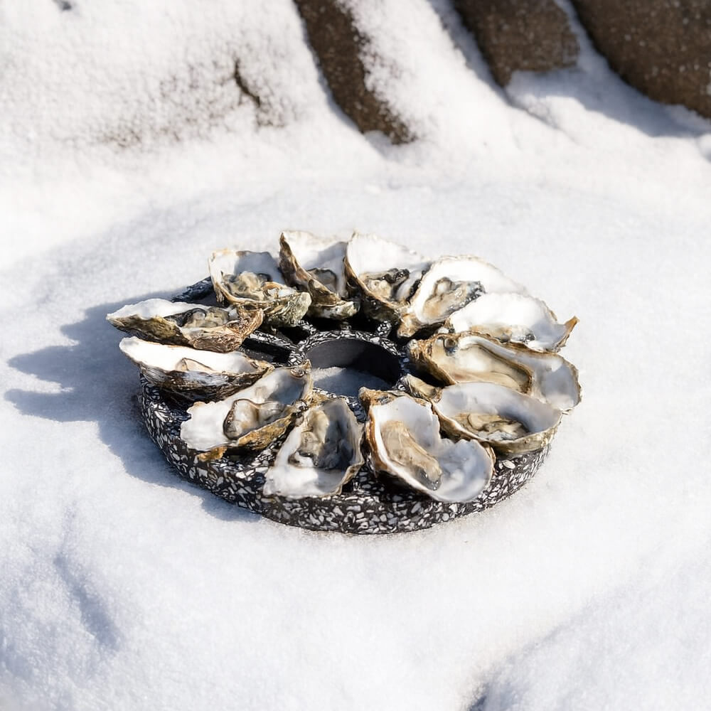 Plateau à huîtres Hélios La Douzaine noir