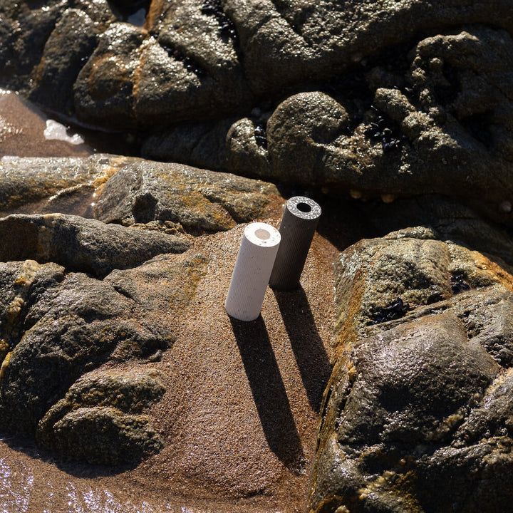 Soliflore Colosse blanc