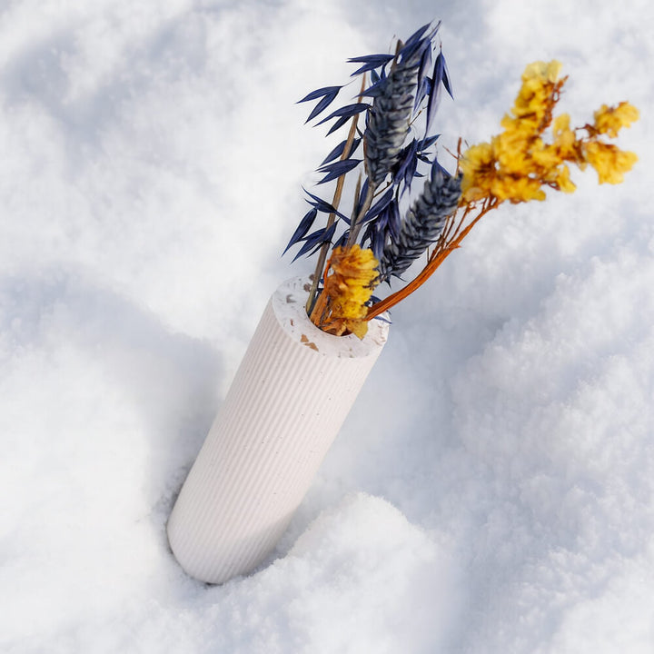 Soliflore Colosse blanc